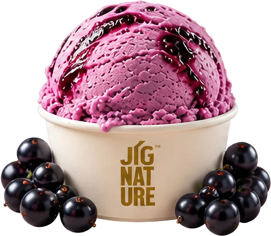 Tub of Jig'Scoop Blackcurrant ice cream with fresh blackcurrants