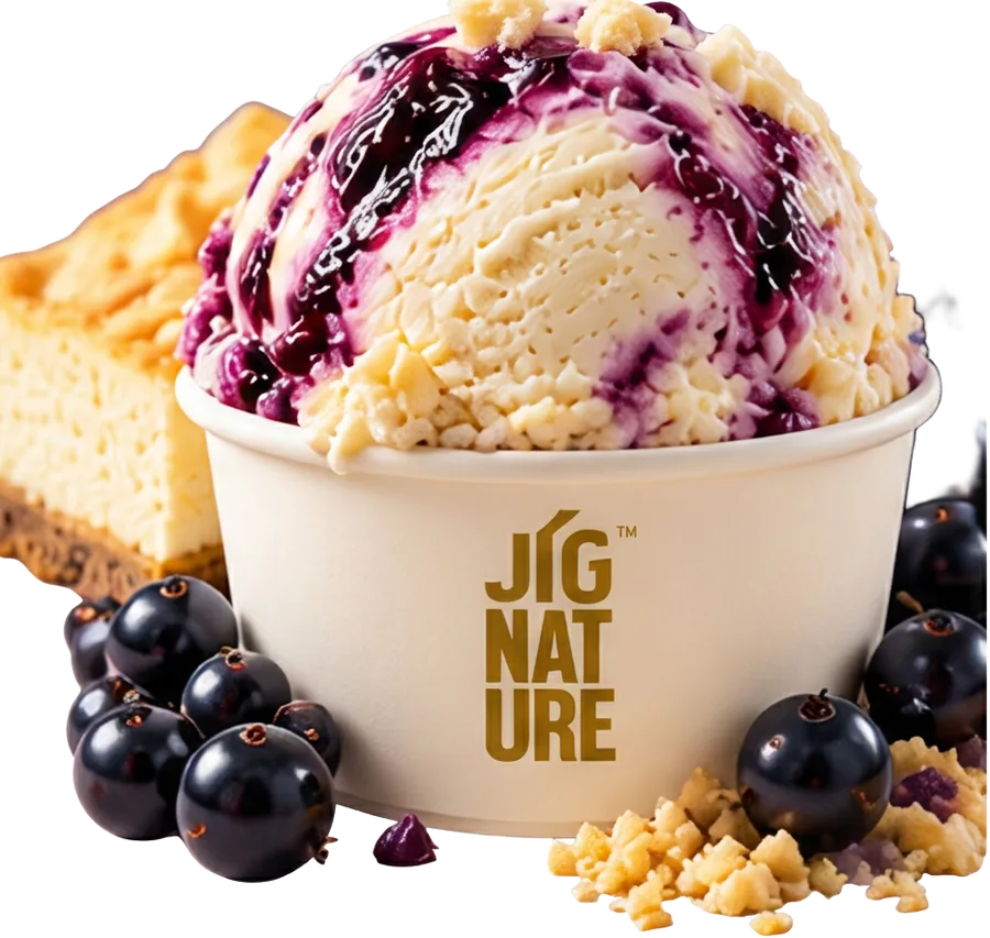 Tub of Jig'Scoop Blueberry Cheesecake ice cream with blueberry swirls